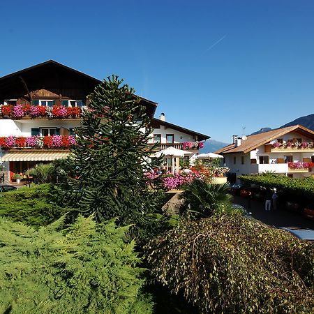 Hotel & Residenz Traubenheim Nalles Exteriér fotografie